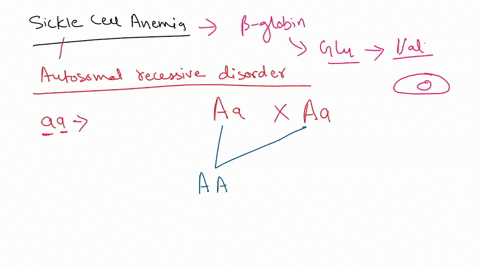 sickle-cell-anemia-is-caused-by-a-single-pair-of-recessive-alleles_-it-not-only-results-in-damage-to-red-blood-cells-but-can-also-damage-the-spleen-cause-physical-weakness-heart-failure-and-97107