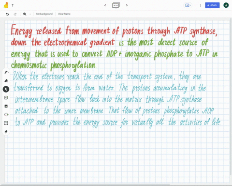 in-chemiosmotic-phosphorylation-what-is-the-most-direct-source-of-energy-that-is-used-to-convert-adp-i-to-atp-18365