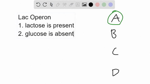 the-lac-operon-genes-only-become-expressed-if-lactose-binds-to-the-repressor-glucose-binds-to-the-repressor-c-lactose-binds-to-the-operator-the-repressor-binds-to-the-operator-90763