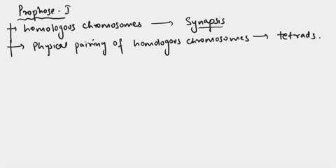 which-of-the-following-events-is-characteristic-of-synapsis-during-prophase-spindle-microtubules-attach-to-each-chromatid-of-a-duplicated-chromosome-homologous-pairs-form-chiasmata-and-exper-69158