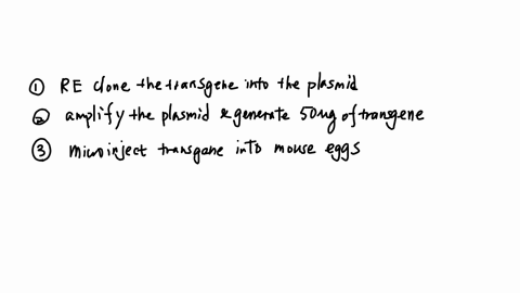 options-are-1-8-for-all-of-them-ctransgenic-mice-in-the-table-below-fill-in-the-order-of-the-steps-that-must-be-followed-to-generate-a-transgenic-mouse-from-first-1-to-last-8-experimental-st-82484