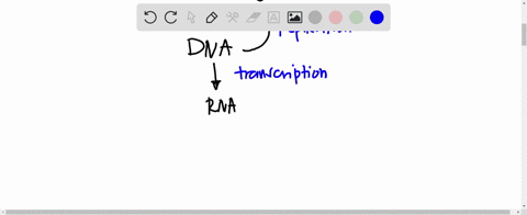 translation-is-_____________-a-is-the-assembly-of-rna-on-a-dna-template-b-is-the-assembly-of-dna-on-an-rna-template-c-is-the-assembly-of-an-amino-acid-polymer-by-a-ribosome-directed-by-the-s-96574