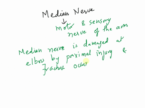 damage-to-the-median-nerve-impacts-what-movements-for-each-of-the-question-belowone-or-more-of-the-suggested-answers-is-correct-please-select-the-best-or-most-appropriatecombination-of-answe-60754
