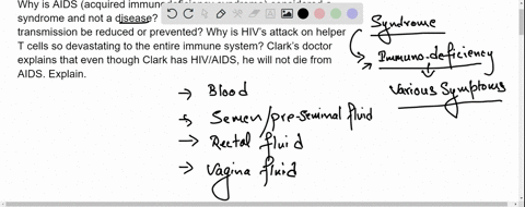 why-is-aids-acquired-immunodeficiency-syndrome-considered-a-syndrome-and-not-a-disease-how-is-hiv-transmitted-and-how-can-transmission-be-reduced-or-prevented-why-is-hivs-attack-on-helper-t-08474