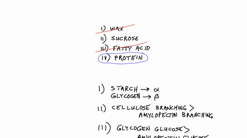 question-10-4-4-pts-consider-the-following-four-substances-i-ii-iii-and-iv-i-wax-ii-sucrose-iii-fatty-acid-iv-protein-select-all-that-are-hydrolyzable-iv-only-i-ii-iii-and-iv-i-ii-and-iv-ii-and-iii-i