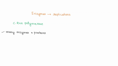 all-of-the-following-enzymes-are-involved-in-the-replication-process-of-dna-except-a-dna-helicase-b-97514