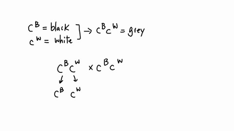 in-chickens-the-heterozygous-condition-of-the-alleles-for-black-plumage-cb-and-white-plumage-cw-is-bluish-grey-plumage-if-two-bluish-grey-chickens-are-mated-a-what-proportion-of-the-progeny-66044