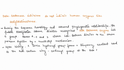 question-10-breifly-explain-why-beta-lactamase-inhibitors-do-not-inhibit-human-enzymes-ilke-acetylcholinesterase-paragraph-aral-12p4-36033