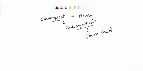 some-plants-have-chloroplasts-what-is-the-function-of-the-chloroplasts-a-to-absorb-carbon-dioxide-during-photosynthesis-b-to-break-up-water-into-hydrogen-and-oxygen-during-photosynthesis-c-i-27572