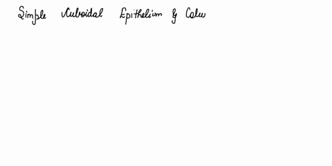 help-explain-pls-question-3-05-pts-which-epithelial-tissues-are-good-at-secreting-and-absorbing-substancesmark-two-answers-simple-columnar-epithelium-simple-cuboidal-epithelium-transitional-32944