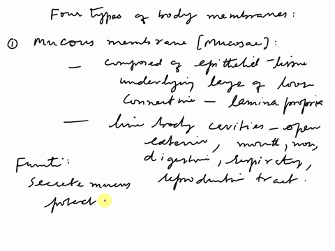 list-the-four-types-of-body-membranes-and-describe-the-structure-and-function-of-each-30672