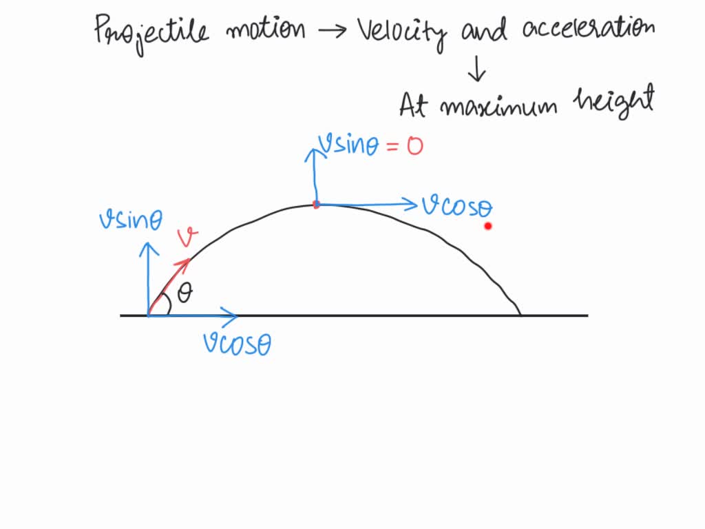 What Is The Velocity Of Projectile At Maximum Height