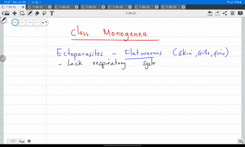 check-those-statements-below-that-describe-a-fluke-that-belongs-to-the-class-monogenea-these-flukes-lack-a-larval-form-and-therefore-are-considered-to-be-monogentic-the-flukes-of-the-monogen-80034