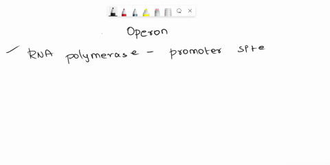 question-2-2-pts-the-promoter-of-an-operon-is-a-site-for-the-synthesis-of-the-repressor-is-a-site-that-opposes-the-action-of-the-repressor-codes-for-enzymes-is-where-an-rna-polymerase-first-32843