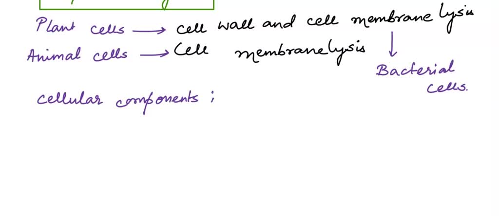 SOLVED: Place the DNA extraction steps in the correct order beginning ...