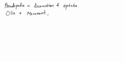 what-are-the-functions-of-pseudopods-cilia-and-flagella-give-at-least-one-example-organism-that-has-each-one-of-the-structures-92587