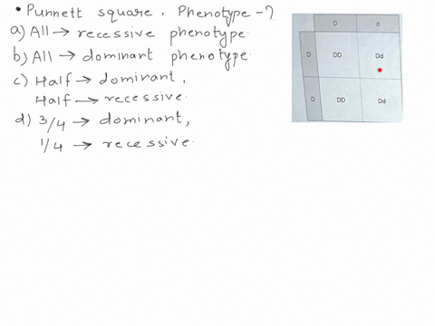 d-d-dd-dd-d-dd-dd-the-punnett-square-describes-the-potential-offspring-of-a-cross-what-phenotypes-will-be-shown-by-the-offspring-o-a-all-offspring-will-show-the-recessive-phenotype-for-this-41392