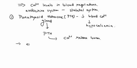 how-calcium-concentration-in-the-blood-is-regulated-by-the-endocrine-system-in-association-with-the-skeletal-system-03694