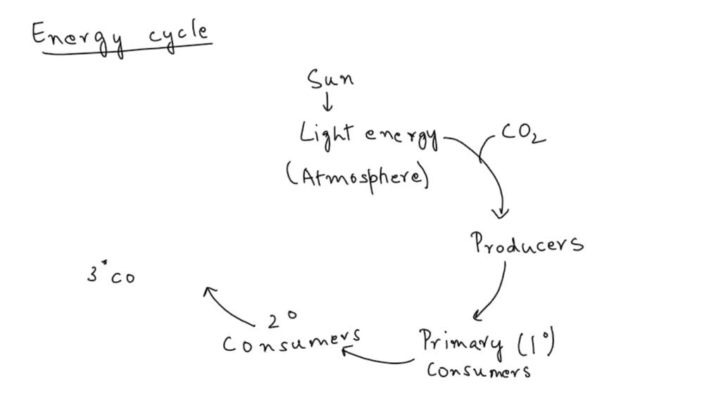 solved-how-is-energy-transformed-as-it-flows-through-the-tropics