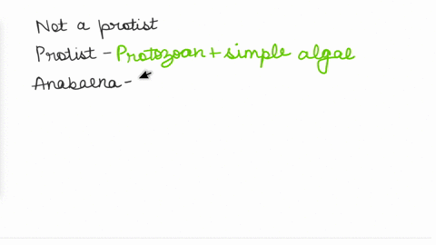 which-of-the-following-is-not-a-protist-a-anabaena-b-euglena-c-ulva-d-giardia-e-plasmodium-74165