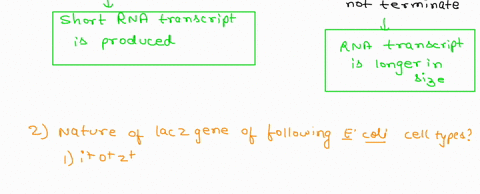 1you-have-isolated-a-mutant-that-makes-a-temperature-sensitiverho-molecule-rho-functions-normally-at30-degree-but-not-at-40-degree-if-you-grow-this-strain-at-bothtemperatures-for-a-short-per-82132