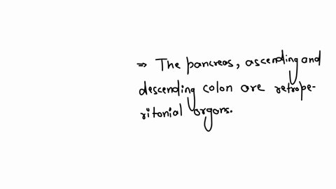question-30-not-yet-anwwered-ftag-question-all-are-true-about-anatomy-of-the-peritoneum-except-a-intrapeitonesl-orgas-that-are-covered-totally-with-the-viceral-peritooeum-b-the-lecser-omentum-conects