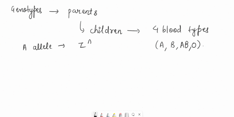 in-humans-the-abo-blood-type-is-determined-mainly-by-three-alleles-of-one-gene-defined-by-the-following-allelic-series-ia-ib-i-ia-is-codominant-to-ib-and-ii-results-in-blood-type-o-please-gi-75933