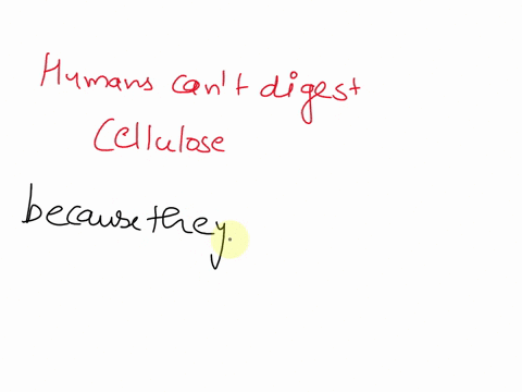humans-cannot-digest-cellulose-because-a-the-glucose-units-that-make-up-cellulose-are-in-the-pyranose-form-b-humans-lack-the-enzyme-necessary-to-hydrolyze-the-b-glycosidic-links-cellulose-do-62861