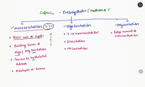 what-is-the-monomer-and-polymer-of-carbs-30772