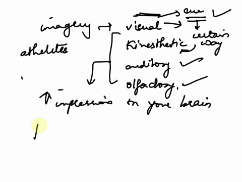 researchers-have-found-that-athletes-describe-four-types-of-imagery-visual-kinesthetic-auditory-and-olfactory-and-that-they-use-visual-and-kinesthetic-imagery-most-often-2as-a-coachhow-might-34014