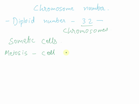an-organism-has-a-diploid-number-of-32-what-would-be-the-number-of-chromosomes-found-in-the-cells-of-this-organism-undergoing-meiosis-explain-15716
