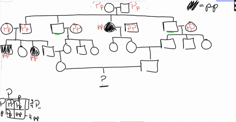 v-probability-and-genetic-counseling-in-many-genetic-counseling-situations-the-counselor-will-prepare-pedligree-for-the-family-or-families-seeking-advice_-insofar-as-possible-the-counselor-w-77048