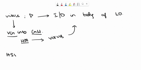 describe-herpes-simplex-virus-latency-from-a-viral-genome-point-of-view-42756