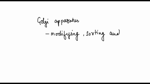 identify-the-organelle-that-meets-the-following-criteria-ultimate-packaging-center-that-modifies-molecules-sorts-and-sends-them-off-44463