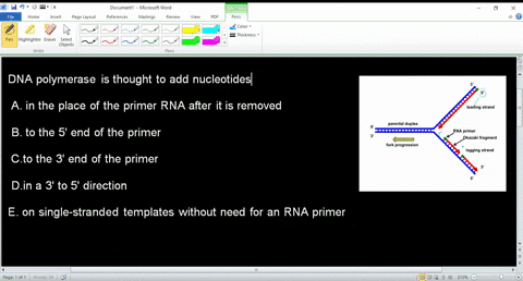 dna-polymerase-is-thought-to-add-nucleotides-a-in-the-place-of-the-primer-rna-after-it-is-removed-b-to-the-5-end-of-the-primer-cto-the-3-end-of-the-primer-din-a-3-to-5-direction-e-on-single-71862