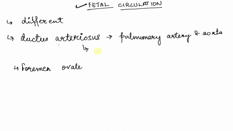 in-mammal-fetal-circulation-of-the-heart-differs-from-adults-here-you-will-explore-that-please-label-your-answer-with-a-b-c-etc-a-what-are-two-structures-that-the-fetal-heart-has-that-the-ad-62184