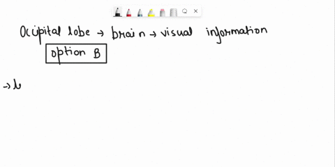 after-a-signal-is-transmitted-from-the-eyes-through-the-optic-nerve-which-part-of-the-brain-processes-the-visual-information-a-the-limbic-lobe-b-the-occipital-lobe-c-the-frontal-lobe-d-the-t-42984