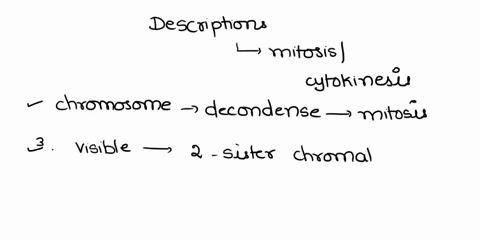 each-of-the-following-descriptions-occur-during-mitosis-or-under-cytokinesis-write-the-name-of-the-phase-for-each-2-chromosomes-decondense-to-chromatin-3-chromosomes-become-visible-and-consi-02487