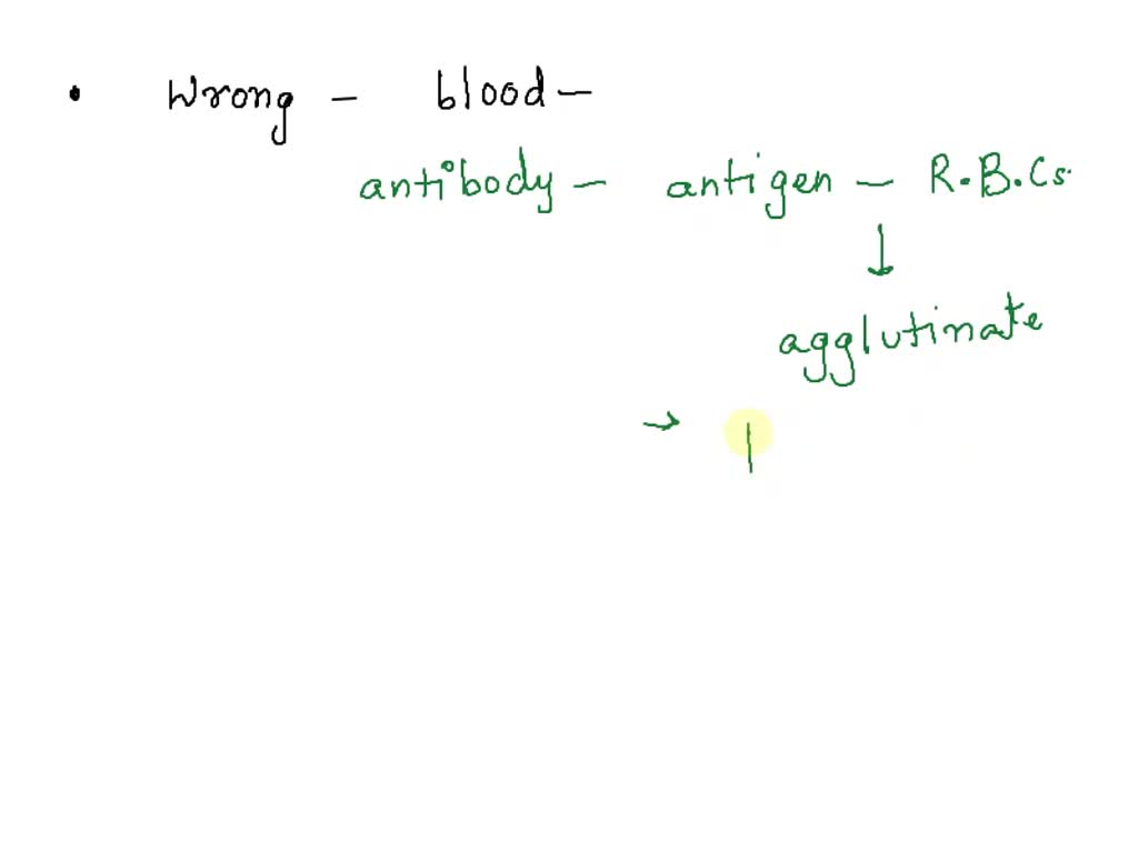 SOLVED Using the terms antigen antibody and agglutination describe why