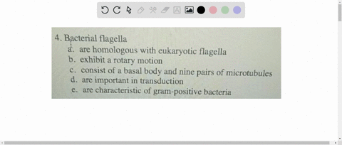 bacterial-flagella-a-are-homologous-with-eukaryotic-flagella-b-exhibit-a-rotary-motion-c-consist-o-3-09058