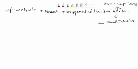 trace-the-path-of-a-blood-cell-as-it-moves-from-the-capillaries-of-the-brain-to-the-small-intestine-73269