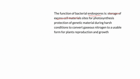 the-function-of-bacterial-endospores-is-storage-of-excess-cell-materials-sites-for-photosynthesis-protection-of-genetic-material-during-harsh-conditions-to-convert-gaseous-nitrogen-to-a-usable-form-fo