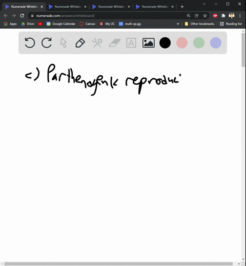 which-of-the-following-correctly-characterizes-the-phylum-rotifera-oaa-single-opening-digestive-tract-b-a-pair-of-mandibles-made-of-chitin-parthenogenic-reproduction-dj-inability-to-persist-04995