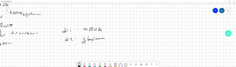 16-when-transcription-is-complete-moves-into-the-once-in-the-cytoplasm-the-mrna-is-recognized-by-the-cells-protein-making-machinery-called-the-18-the-called-interprets-the-information-and-pr-93601