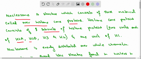 what-is-a-nucleosome-discuss-its-significance