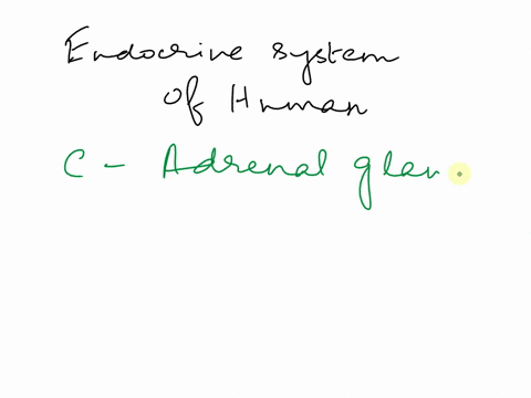 question-55-figure-31-in-figure-3-what-is-the-name-of-the-disease-associated-with-the-endocrine-gland-labeled-cretinism-addison-giantism-none-of-these-17554