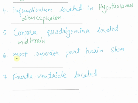 12-1lanswer-the-following-1what-parts-of-the-brain-are-separated-by-the-longitudinal-fissure-2-what-major-region-of-the-brain-contains-the-lateral-ventricles-3-the-corpus-callosum-belongs-to-18179