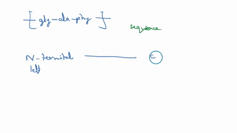 please-help-me-with-this-questionbiochemistry-draw-a-peptide-with-the-sequence-_____-below-and-then-answer-the-following-questions-about-your-peptide-box-and-label-the-n-terminal-box-and-lab-45038