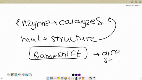 question-5-of-10-which-mutation-would-likely-have-the-largest-effect-on-an-enzyme-a-a-frameshift-mutation-near-the-end-of-a-gene-b-a-substitution-that-produces-a-stop-codon-at-the-beginning-of-a-gene