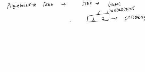 create-a-phylogeny-tree-that-will-indicate-evolutionary-trends-in-the-animal-evolution-and-the-following-organisms-1-ascaris-2-sponge-3-sea-anemone-4-cockroach-5-starfish-6squid-7-spider-8-c-46949